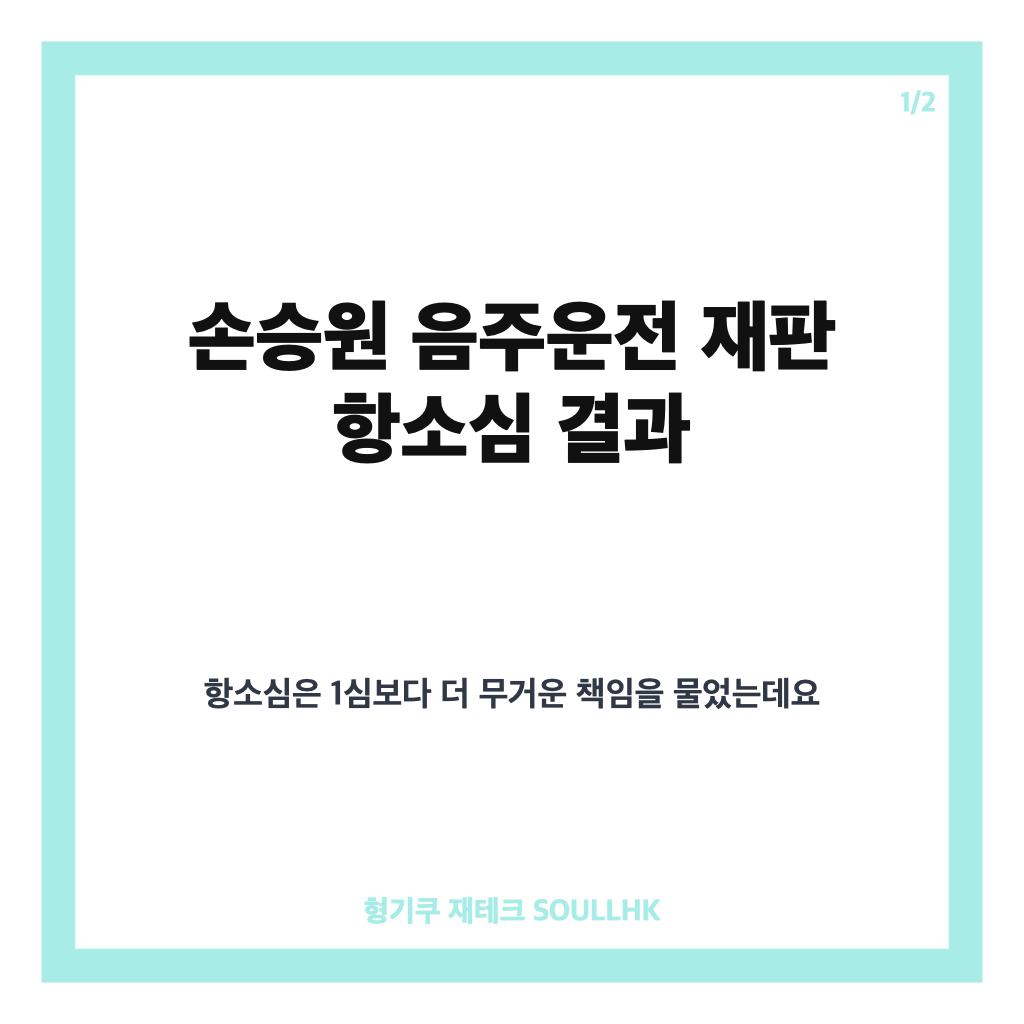 손승원 음주운전 재판에서는: 손승원 음주운전 재판, 항소심 징역 2년 선고된 이유 본문 이미지 1