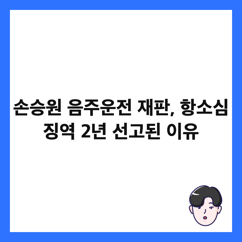 손승원 음주운전 재판에서는: 손승원 음주운전 재판, 항소심 징역 2년 선고된 이유