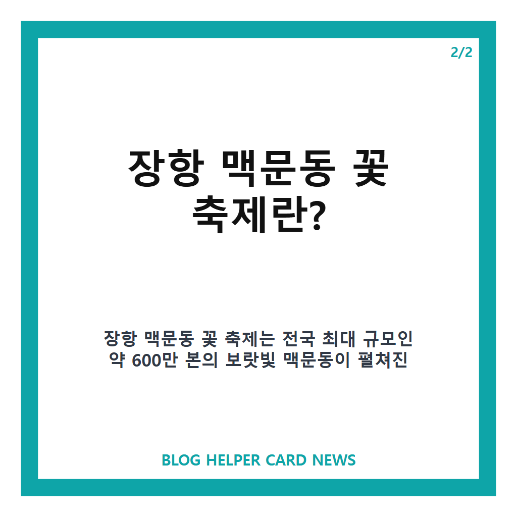 장항 맥문동 꽃 축제홈페이지: 장항 맥문동 꽃 축제 2026년 일정과 즐길거리 완벽 가이드 본문 이미지 2