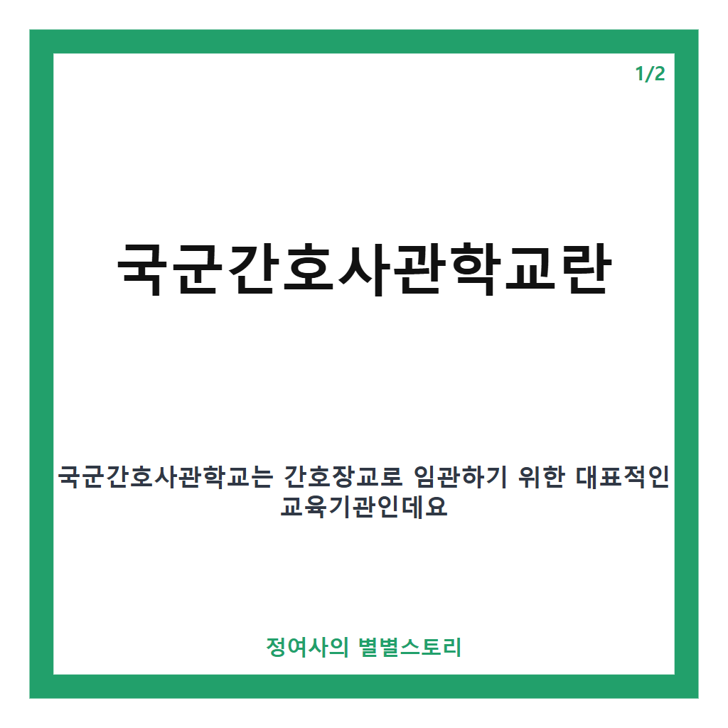국군간호사관학교 핵심 정리 카드뉴스 1
