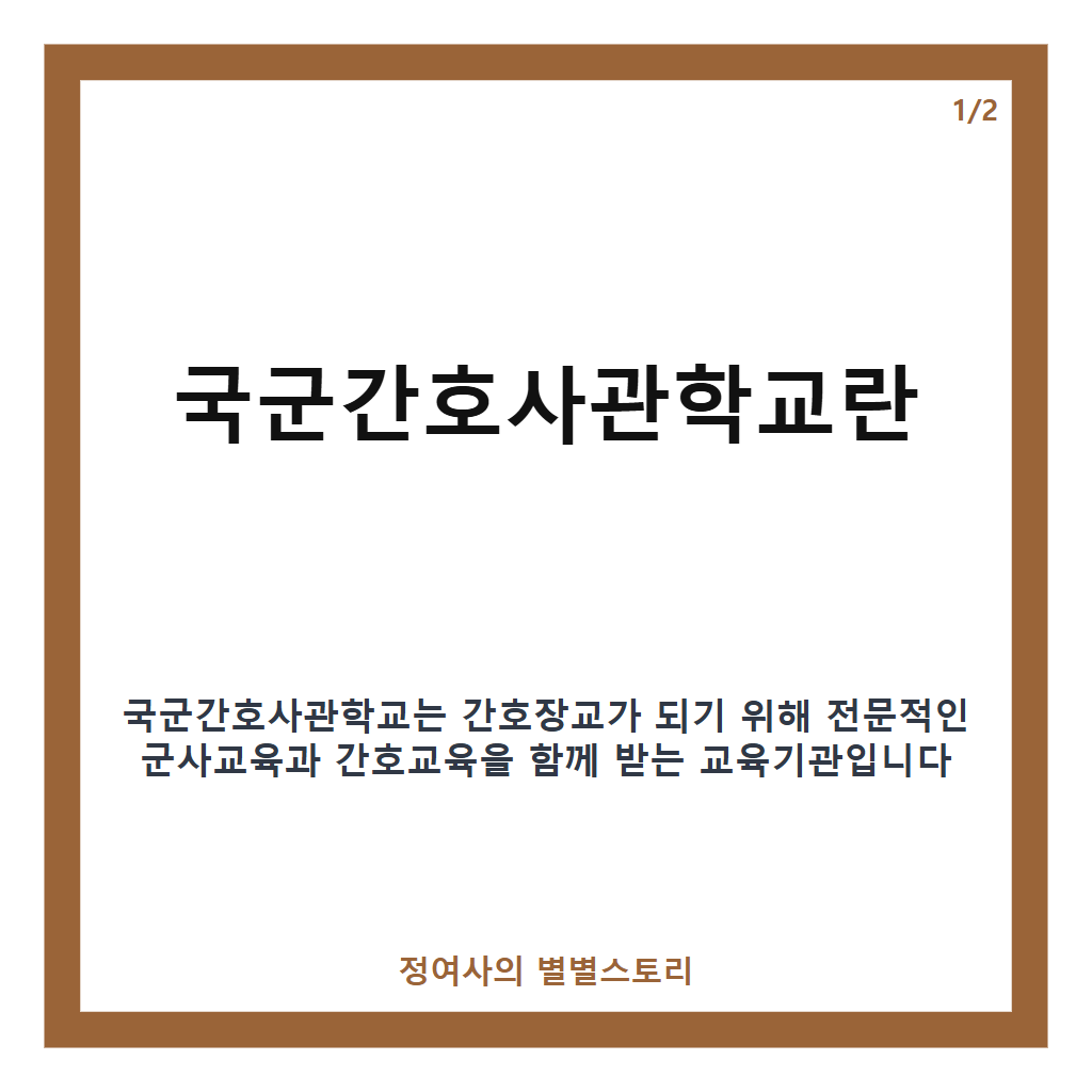 국군간호사관학교 핵심 정리 카드뉴스 1