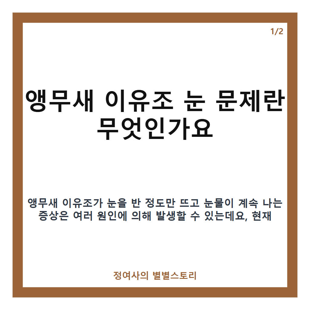 앵무새 이유조 눈 문제 핵심 정리 카드뉴스 1