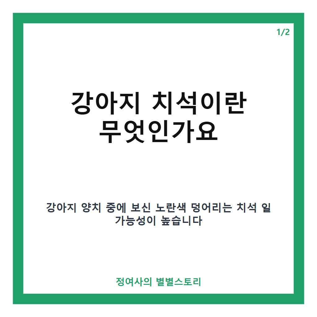 강아지 치석 원인과 제거 방법 핵심 정리 카드뉴스 1