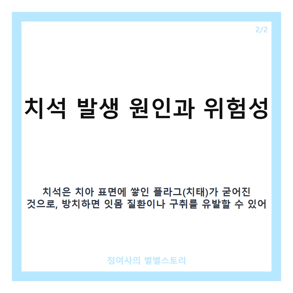 강아지 치석 원인과 제거 방법 핵심 정리 카드뉴스 2