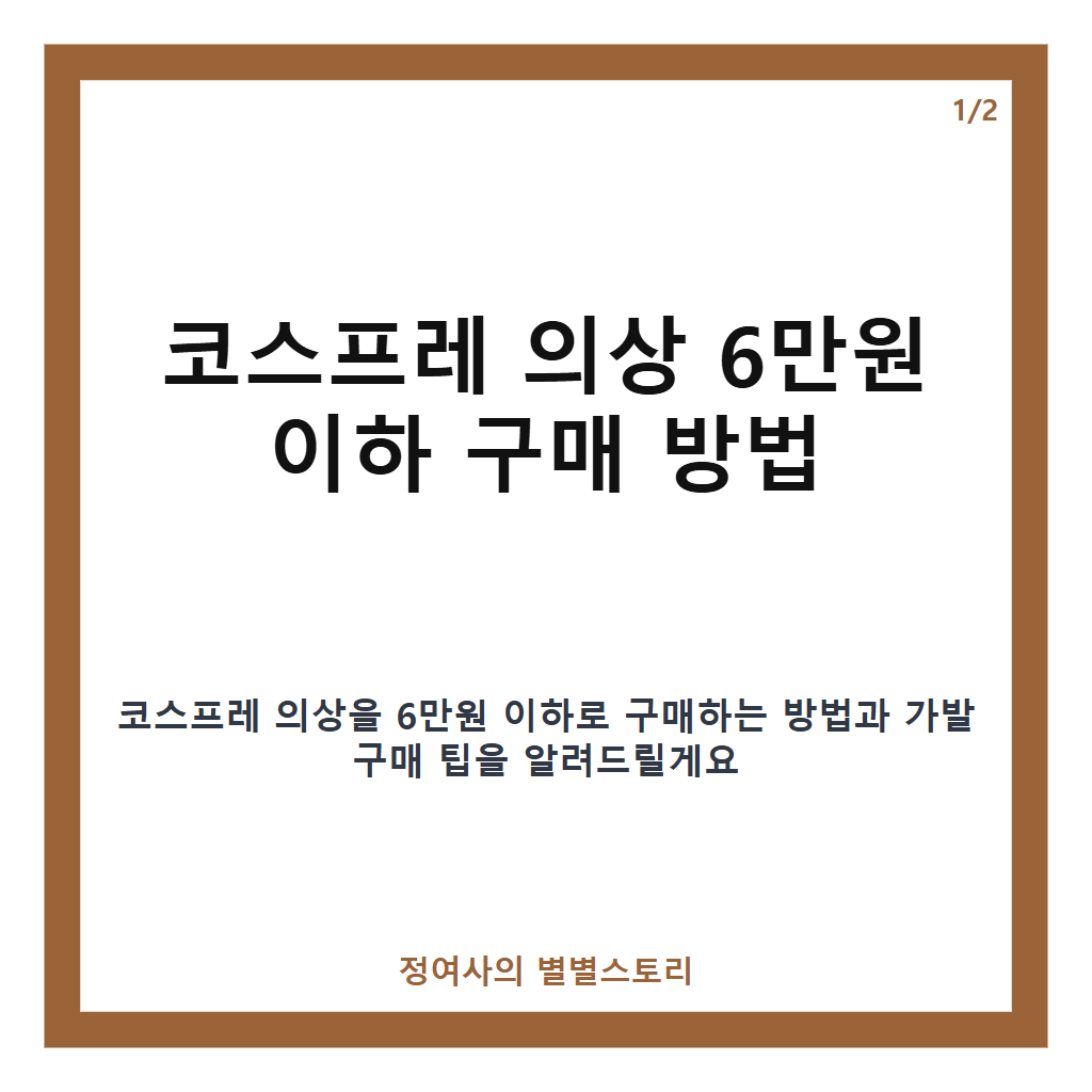 코스프레 의상 예산 6만원 이하 추천과 가발 구매 팁 카드뉴스 1