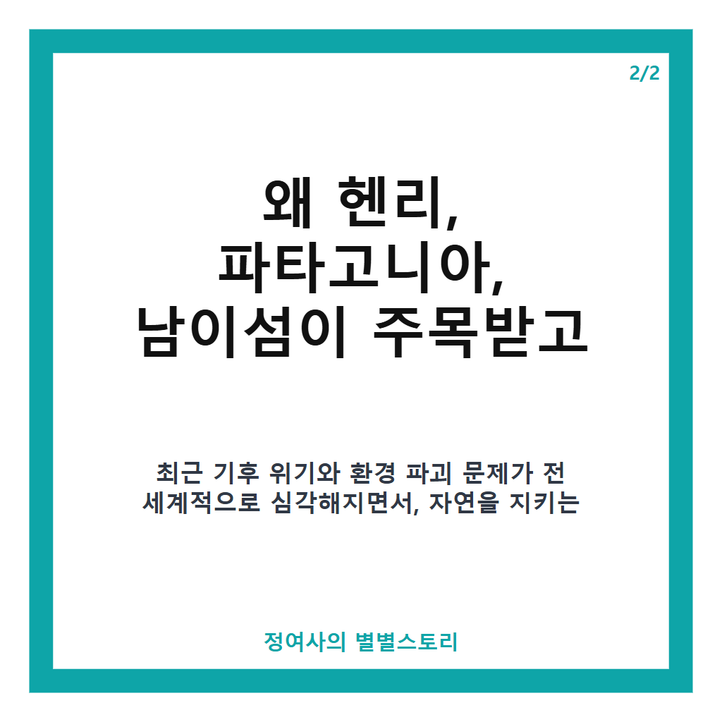 헨리와 파타고니아, 남이섬이 전하는 자연보전 메시지와 실시간 검색어 1위 배경 본문 이미지 2
