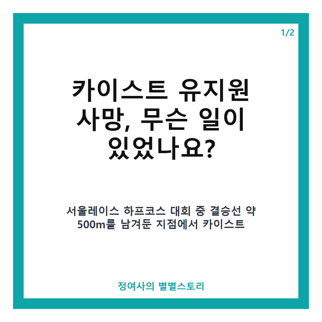 카이스트 유지원 사망, 서울레이스 하프코스 결승선 앞 안타까운 사고와 추모 물결 본문 이미지 1