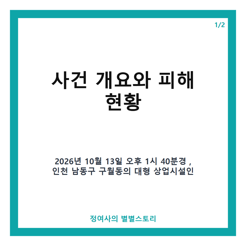 인천 흉기난동 사건 총정리: 피해 현황과 용의자 구속 상황 업데이트 본문 이미지 1