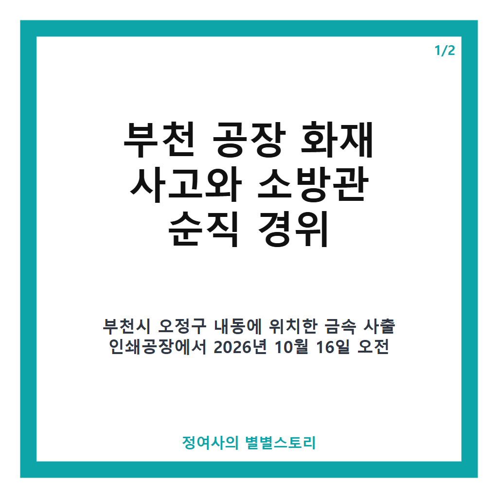 부천 공장 화재 진화하던 소방관 순직, 사고: 부천 공장 화재 진화하던 소방관 순직 사고 경위와 추미애 재정 빨대 발언 논란 완전 정리 본문 이미지 1