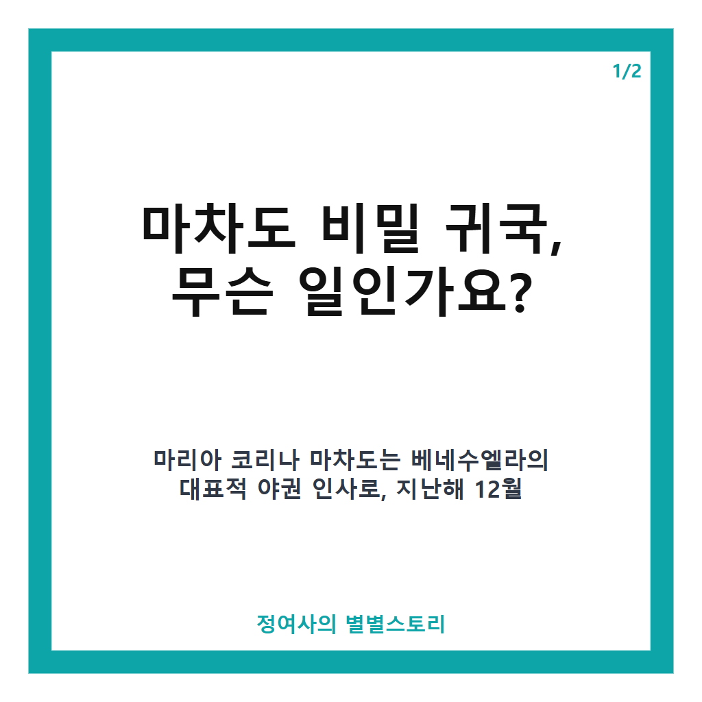 마차도 비밀 귀국 소식과 베네수엘라 차기 대선 전망 분석 본문 이미지 1