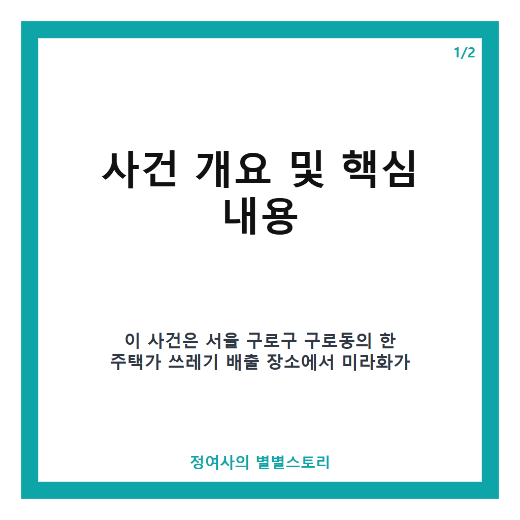 미라 시신 유기 2명 구속영장 기각…서울 구로구 사건 현황 및 배경 분석 본문 이미지 1