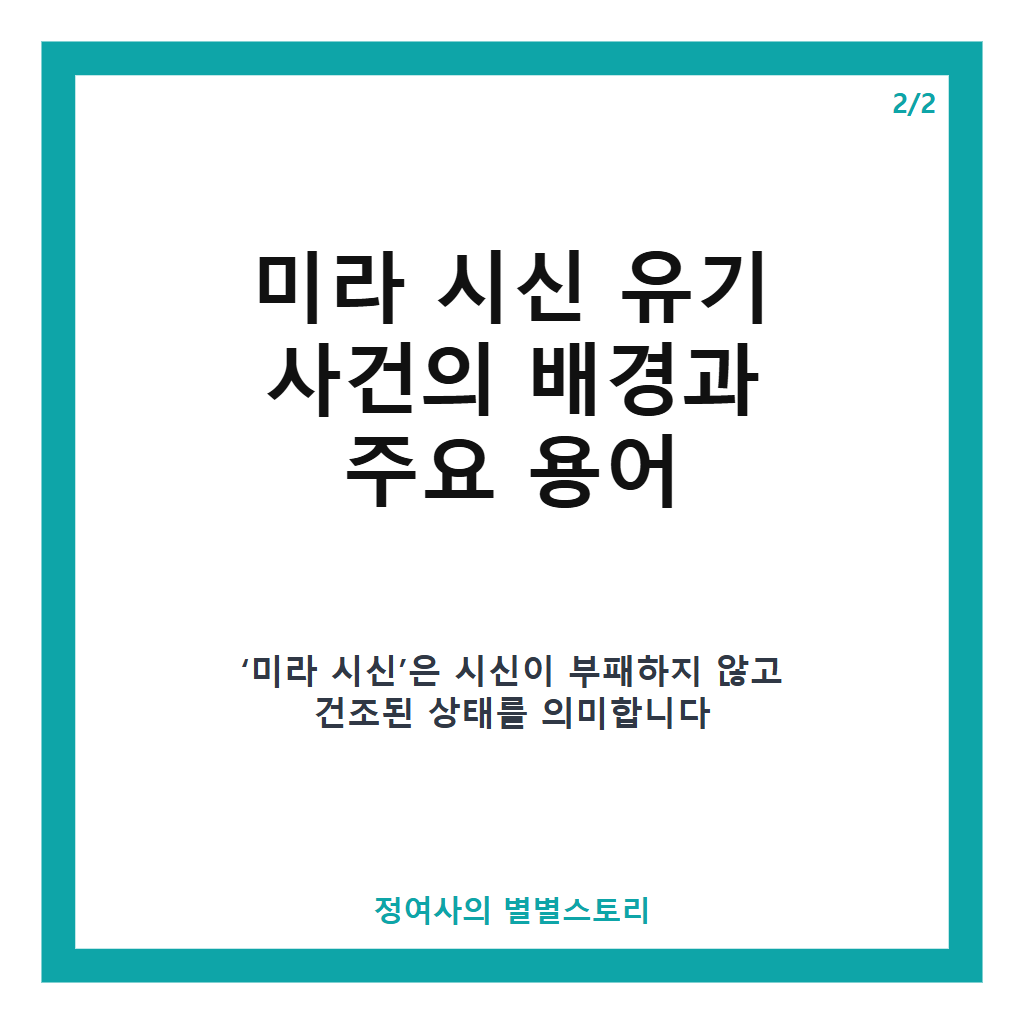 미라 시신 유기 2명 구속영장 기각…서울 구로구 사건 현황 및 배경 분석 본문 이미지 2