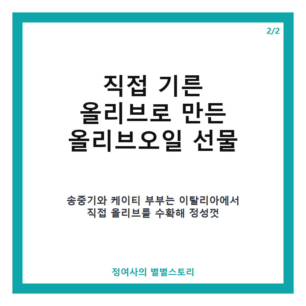송중기 케이티 부부의 이탈리아 일상과 직접 수확한 올리브 오일 선물 이야기 본문 이미지 2