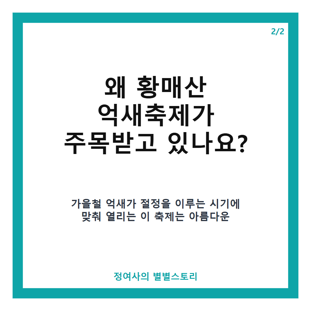 황매산 억새축제 2026년 10월 17일 개막, 무료 입장과 다채로운 문화 체험 행사 안내 본문 이미지 2