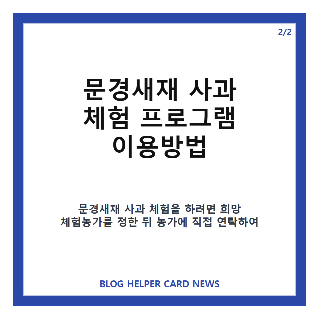 문경 사과축제 2026 일정과 문경새재 사과 체험 프로그램 알아보기 본문 이미지 2