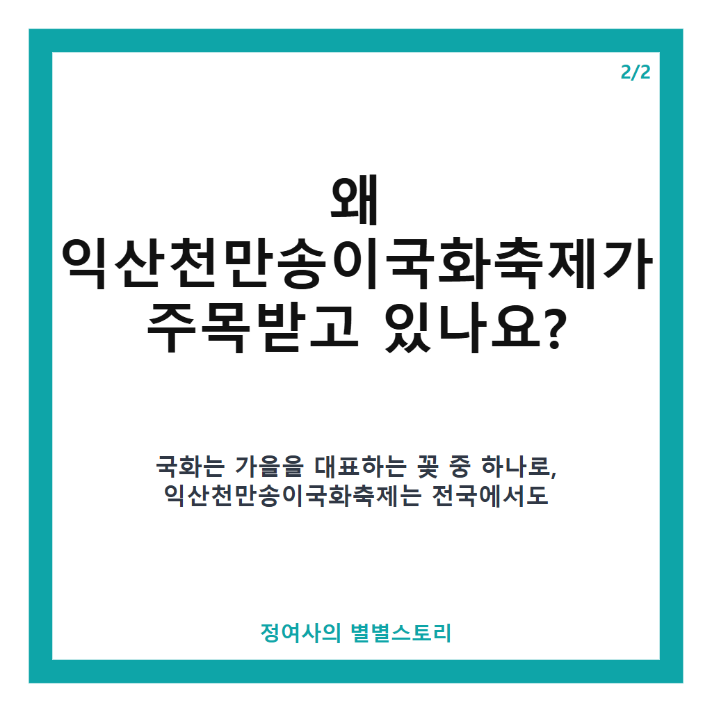 익산천만송이국화축제 2026년 가을, 익산 중앙체육공원에서 만나는 천만송이 국화 향연 본문 이미지 2