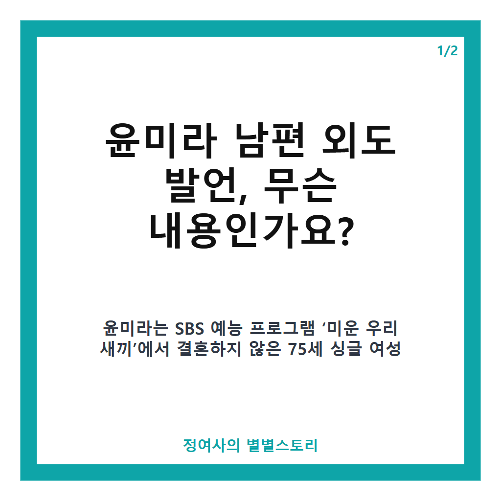 윤미라 남편 외도 발언, 75세 미혼의 솔직한 결혼과 외도에 대한 생각 공개 본문 이미지 1