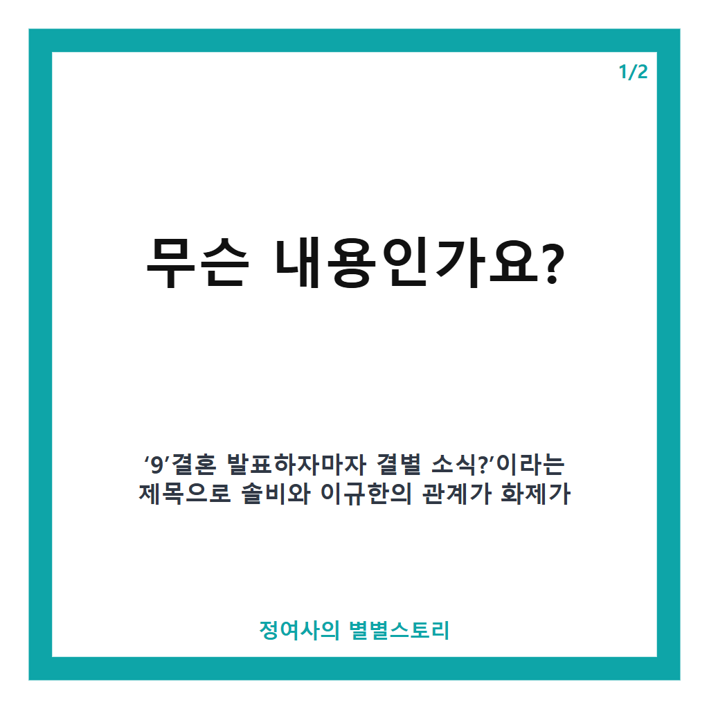 9'결혼 발표하자마자 결별 소식?' 솔비♥이규한, 실제 연애 상대와 달라 화제 본문 이미지 1